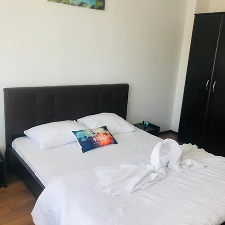 Alena Guest house *